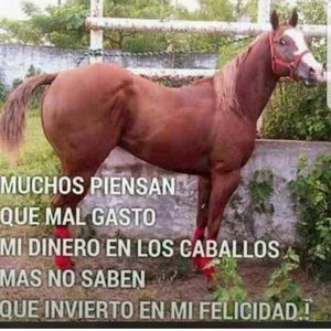 Meet your Posher, Raul